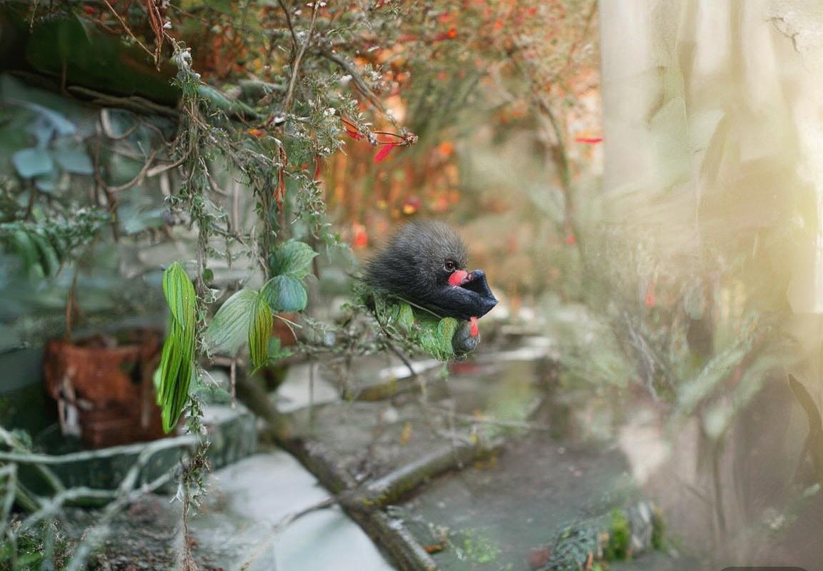 法国阿根廷足球对决前瞻：历史交锋、近期状态与投注策略深度解析